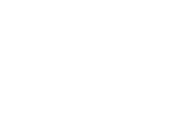 Organisateur 4